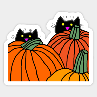 Halloween Cat Sticker